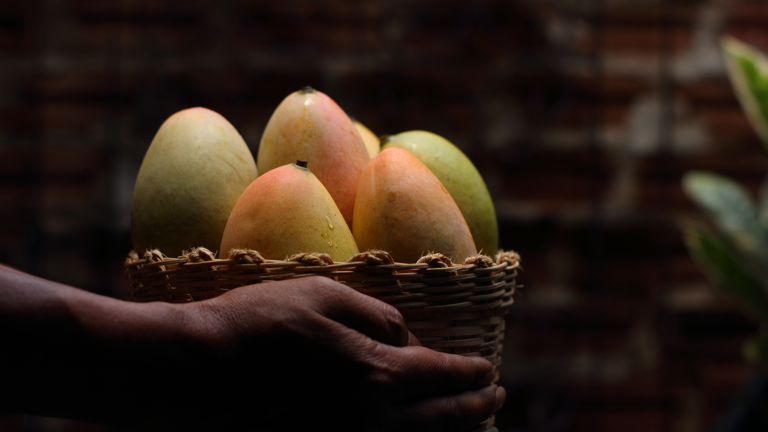 coinsharp: mango markets trouve un accord avec son pirate