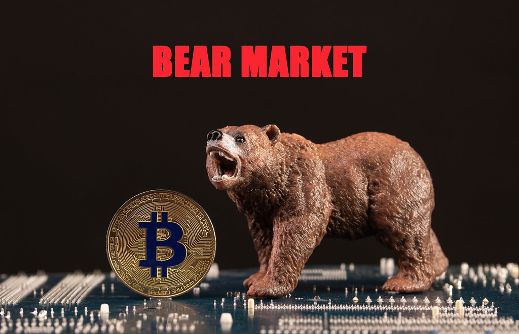 Coinsharp: créer en bear market